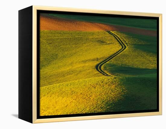 Wheat and Pea Fields-Darrell Gulin-Framed Premier Image Canvas