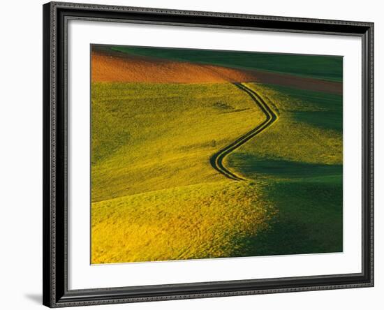 Wheat and Pea Fields-Darrell Gulin-Framed Photographic Print