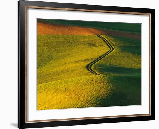 Wheat and Pea Fields-Darrell Gulin-Framed Photographic Print