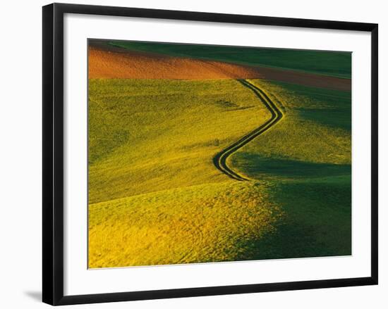 Wheat and Pea Fields-Darrell Gulin-Framed Photographic Print