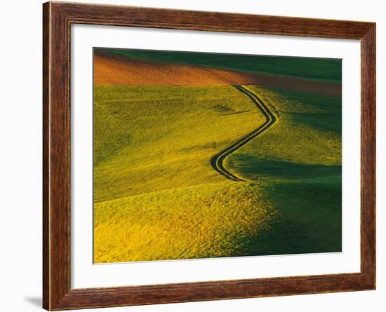 Wheat and Pea Fields-Darrell Gulin-Framed Photographic Print