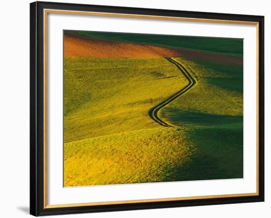 Wheat and Pea Fields-Darrell Gulin-Framed Photographic Print