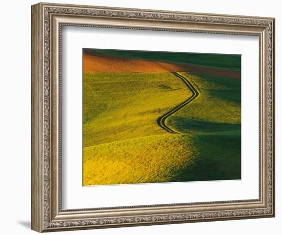 Wheat and Pea Fields-Darrell Gulin-Framed Photographic Print