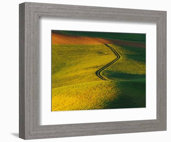 Wheat and Pea Fields-Darrell Gulin-Framed Photographic Print