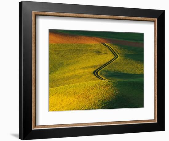 Wheat and Pea Fields-Darrell Gulin-Framed Photographic Print