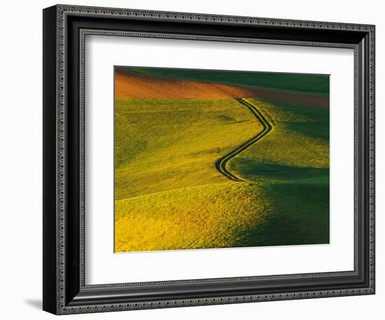 Wheat and Pea Fields-Darrell Gulin-Framed Photographic Print