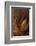 Wheat Closeup-Anna Miller-Framed Photographic Print