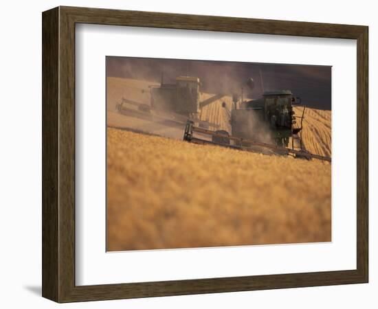 Wheat Combines at Fall Harvest, Washington, USA-William Sutton-Framed Photographic Print