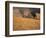 Wheat Combines at Fall Harvest, Washington, USA-William Sutton-Framed Photographic Print