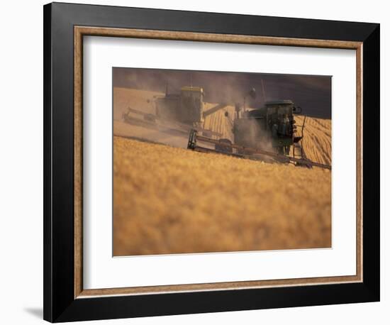 Wheat Combines at Fall Harvest, Washington, USA-William Sutton-Framed Photographic Print