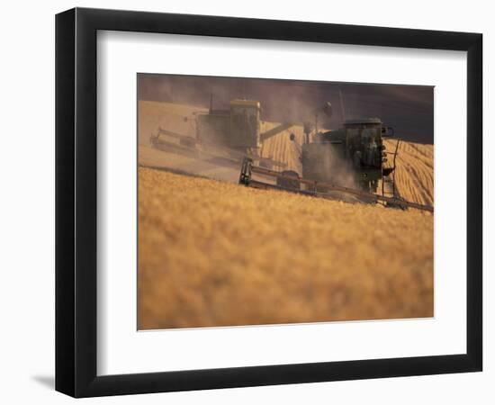 Wheat Combines at Fall Harvest, Washington, USA-William Sutton-Framed Photographic Print