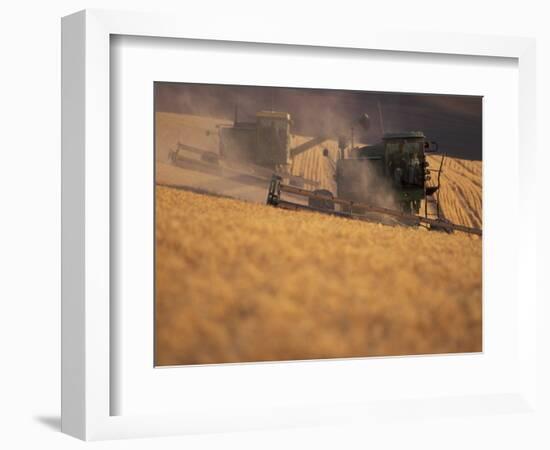 Wheat Combines at Fall Harvest, Washington, USA-William Sutton-Framed Photographic Print