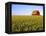 Wheat Crop Growing in Field Before Barn-Terry Eggers-Framed Premier Image Canvas