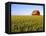 Wheat Crop Growing in Field Before Barn-Terry Eggers-Framed Premier Image Canvas