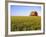 Wheat Crop Growing in Field Before Barn-Terry Eggers-Framed Photographic Print