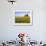 Wheat Crop Growing in Field Before Barn-Terry Eggers-Framed Photographic Print displayed on a wall