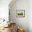 Wheat Crop Growing in Field Before Barn-Terry Eggers-Framed Photographic Print displayed on a wall