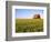 Wheat Crop Growing in Field Before Barn-Terry Eggers-Framed Photographic Print