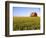 Wheat Crop Growing in Field Before Barn-Terry Eggers-Framed Photographic Print