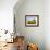 Wheat Crop Growing in Field Before Barn-Terry Eggers-Framed Photographic Print displayed on a wall