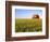 Wheat Crop Growing in Field Before Barn-Terry Eggers-Framed Photographic Print