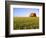 Wheat Crop Growing in Field Before Barn-Terry Eggers-Framed Photographic Print