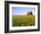 Wheat Crop Growing in Field Before Barn-Terry Eggers-Framed Photographic Print