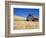 Wheat Crop Growing in Field By Barn-Terry Eggers-Framed Photographic Print