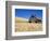 Wheat Crop Growing in Field By Barn-Terry Eggers-Framed Photographic Print