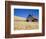 Wheat Crop Growing in Field By Barn-Terry Eggers-Framed Photographic Print