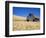 Wheat Crop Growing in Field By Barn-Terry Eggers-Framed Photographic Print