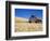 Wheat Crop Growing in Field By Barn-Terry Eggers-Framed Photographic Print