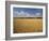 Wheat Crop, Lexington, Kentucky, USA-Adam Jones-Framed Photographic Print