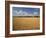 Wheat Crop, Lexington, Kentucky, USA-Adam Jones-Framed Photographic Print