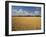 Wheat Crop, Lexington, Kentucky, USA-Adam Jones-Framed Photographic Print