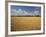 Wheat Crop, Lexington, Kentucky, USA-Adam Jones-Framed Photographic Print