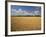 Wheat Crop, Lexington, Kentucky, USA-Adam Jones-Framed Photographic Print