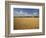 Wheat Crop, Lexington, Kentucky, USA-Adam Jones-Framed Photographic Print