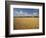 Wheat Crop, Lexington, Kentucky, USA-Adam Jones-Framed Photographic Print