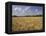 Wheat Crop, Tennessee, USA-Adam Jones-Framed Premier Image Canvas