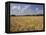 Wheat Crop, Tennessee, USA-Adam Jones-Framed Premier Image Canvas