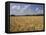 Wheat Crop, Tennessee, USA-Adam Jones-Framed Premier Image Canvas