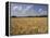 Wheat Crop, Tennessee, USA-Adam Jones-Framed Premier Image Canvas