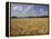 Wheat Crop, Tennessee, USA-Adam Jones-Framed Premier Image Canvas