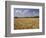 Wheat Crop, Tennessee, USA-Adam Jones-Framed Photographic Print