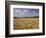 Wheat Crop, Tennessee, USA-Adam Jones-Framed Photographic Print