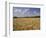Wheat Crop, Tennessee, USA-Adam Jones-Framed Photographic Print