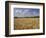 Wheat Crop, Tennessee, USA-Adam Jones-Framed Photographic Print