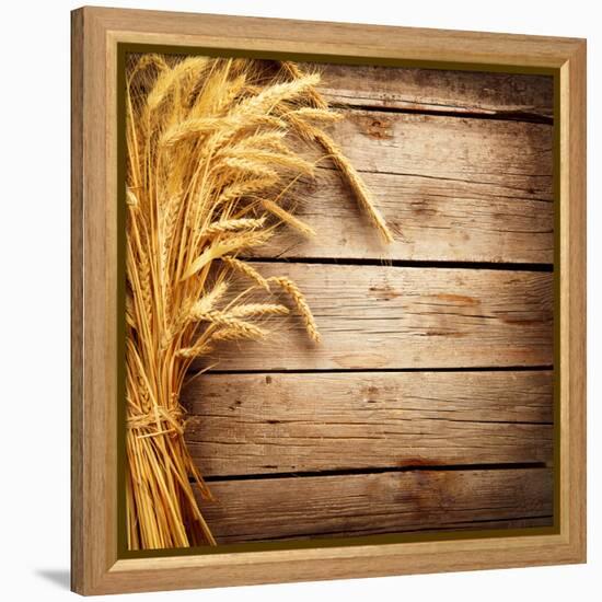 Wheat Ears on the Wooden Table, Sheaf of Wheat over Wood Background-Subbotina Anna-Framed Premier Image Canvas