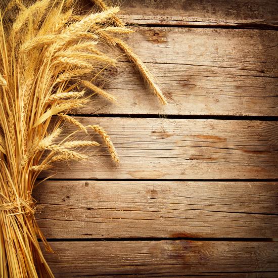 Wheat Ears On The Wooden Table Sheaf Of Wheat Over Wood Background Photographic Print Subbotina Anna Art Com Wheat Ears On The Wooden Table Sheaf Of Wheat Over Wood Background Photographic Print Subbotina Anna Art Com